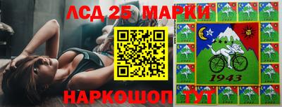 молекула духа Донецк