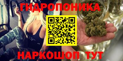 мдпв Донской