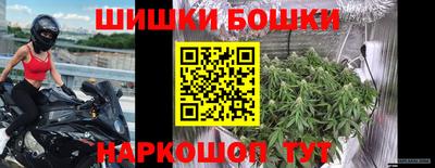 мдпв Донской