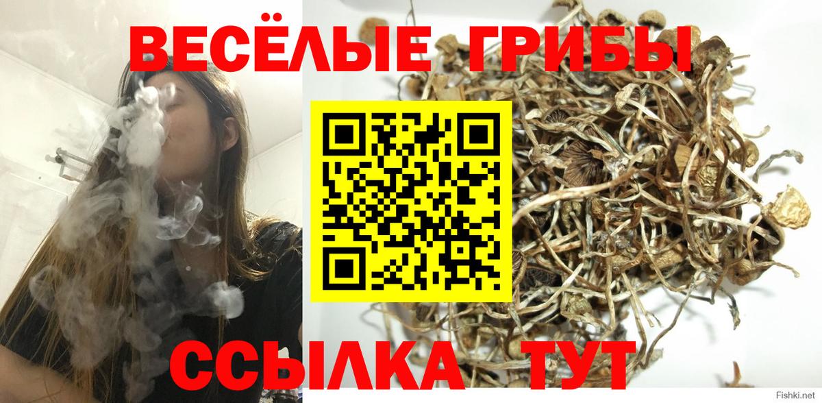 Псилоцибиновые грибы Psilocybe  где продают   Вход с VPN  Изобильный  Псилоцибиновые грибы GOLDEN TEACHER 