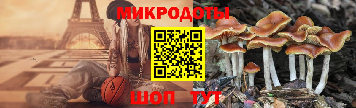 Галлюциногенные грибы Psilocybe Изобильный